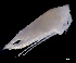  (Euchirella grandicornis - IOS2023026-017)  @11 [ ] CC - Attribution Non-Commercial Share-Alike (2024) Julian Smith DFO