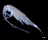  ( - IOS2023026-031)  @11 [ ] CC - Attribution Non-Commercial Share-Alike (2024) Julian Smith DFO