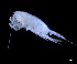  ( - IOS2023026-035)  @11 [ ] CC - Attribution Non-Commercial Share-Alike (2024) Julian Smith DFO