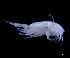  ( - IOS2023066-004)  @11 [ ] CC - Attribution Non-Commercial Share-Alike (2024) Julian Smith DFO