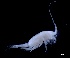  ( - IOS2023066-005)  @11 [ ] CC - Attribution Non-Commercial Share-Alike (2024) Julian Smith DFO