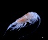  ( - IOS2024041-005)  @11 [ ] CC - Attribution Non-Commercial Share-Alike (2024) Julian Smith DFO