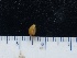  ( - S40-F69-3)  @11 [ ] CreativeCommons - Attribution Non-Commercial Share-Alike (2018) R. John Nelson University of Victoria