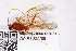  ( - ZMUO.007709)  @13 [ ] CreativeCommons - Attribution Non-Commercial (2013) Marko Mutanen University of Oulu