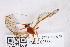 ( - ZMUO.007780)  @13 [ ] CreativeCommons - Attribution Non-Commercial (2013) Marko Mutanen University of Oulu