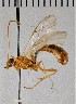  ( - EMEC1215680)  @11 [ ] CC-0 (2019) University of California, Santa Barbara University of California, Santa Barbara