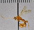  ( - UCBMEP0272840)  @11 [ ] CC-0 (2019) University of California, Santa Barbara University of California, Santa Barbara