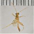  ( - UCRCENT509664)  @11 [ ] CC-0 (2019) University of California, Santa Barbara University of California, Santa Barbara
