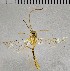  ( - UCSB-IZC00009208)  @11 [ ] CC-0 (2019) University of California, Santa Barbara University of California, Santa Barbara
