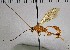  ( - UCSB-IZC00014586)  @11 [ ] CC-0 (2019) University of California, Santa Barbara University of California, Santa Barbara