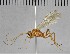  ( - UCSB-IZC00033989)  @11 [ ] CC-0 (2019) University of California, Santa Barbara University of California, Santa Barbara