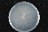  ( - 2015-166-2-3)  @11 [ ] CreativeCommons - Attribution Non-Commercial Share-Alike (2015) Norwegian institute of bioeconomy research Norwegian institute of bioeconomy research