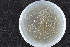  ( - 2015-577-3-2)  @11 [ ] CreativeCommons - Attribution Non-Commercial Share-Alike (2015) Norwegian institute of bioeconomy research Norwegian institute of bioeconomy research