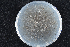  (Ophiostoma sp. HS-da1 - 2015-729-2-2)  @11 [ ] CreativeCommons - Attribution Non-Commercial Share-Alike (2015) Norwegian institute of bioeconomy research Norwegian institute of bioeconomy research