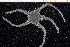  (Ophiocten - UMBergen_NB_ophiu69)  @14 [ ] CreativeCommons - Attribution Non-Commercial Share-Alike (2014) University of Bergen University of Bergen, Natural History Collections