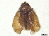  ( - BIOUG32816-C02)  @11 [ ] CreativeCommons - Attribution (2024) CBG Photography Group Centre for Biodiversity Genomics