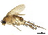  ( - BIOUG34253-H02)  @11 [ ] CreativeCommons - Attribution (2019) CBG Photography Group Centre for Biodiversity Genomics