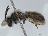  ( - BIOUG32846-H08)  @11 [ ] CreativeCommons - Attribution (2021) CBG Photography Group Centre for Biodiversity Genomics