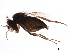  ( - BIOUG33815-C07)  @13 [ ] CreativeCommons - Attribution (2019) CBG Photography Group Centre for Biodiversity Genomics