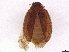  ( - BIOUG33328-E04)  @11 [ ] CreativeCommons - Attribution Share-Alike (2024) CBG Photography Group Centre for Biodiversity Genomics