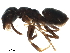 ( - BIOUG35579-D02)  @14 [ ] CreativeCommons - Attribution (2018) CBG Photography Group Centre for Biodiversity Genomics
