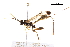  ( - BIOUG35586-H04)  @13 [ ] CreativeCommons - Attribution (2018) CBG Photography Group Centre for Biodiversity Genomics