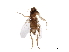 ( - BIOUG33263-E02)  @11 [ ] CreativeCommons - Attribution (2019) CBG Photography Group Centre for Biodiversity Genomics