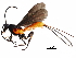  ( - BIOUG34672-G01)  @14 [ ] CreativeCommons - Attribution (2018) CBG Photography Group Centre for Biodiversity Genomics