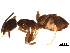  ( - BIOUG35665-G06)  @14 [ ] CreativeCommons - Attribution (2018) CBG Photography Group Centre for Biodiversity Genomics