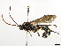  ( - BIOUG35670-D09)  @11 [ ] CreativeCommons - Attribution (2024) CBG Photography Group Centre for Biodiversity Genomics
