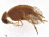  ( - BIOUG35748-F07)  @11 [ ] CreativeCommons - Attribution Share - Alike (2025) CBG Photography Group Centre for Biodiversity Genomics