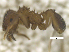  ( - MACN-Bar-Ins-ct 07793)  @12 [ ] Copyright (2018) MACN Museo Argentino de Ciencias Naturales "Bernardino Rivadavia"