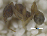  ( - MACN-Bar-Ins-ct 07884)  @11 [ ] Copyright (2018) MACN Museo Argentino de Ciencias Naturales "Bernardino Rivadavia"