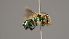  ( - OSAC_0001252325)  @11 [ ] CreativeCommons  Attribution (by) (2022) Pollinator Health Lab Oregon State University