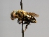  ( - OSAC_0001252590)  @11 [ ] CreativeCommons  Attribution (by) (2022) Pollinator Health Lab Oregon State University