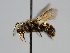  ( - OSAC_0001277901)  @11 [ ] CreativeCommons  Attribution (by) (2022) Pollinator Health Lab Oregon State University