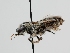  ( - OSAC_0001278059)  @11 [ ] CreativeCommons  Attribution (by) (2022) Pollinator Health Lab Oregon State University