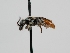  ( - OSAC_0001278111)  @11 [ ] CreativeCommons  Attribution (by) (2022) Pollinator Health Lab Oregon State University