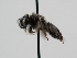  ( - OSAC_0001278128)  @11 [ ] CreativeCommons  Attribution (by) (2022) Pollinator Health Lab Oregon State University