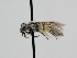  ( - OSAC_0001278139)  @11 [ ] CreativeCommons  Attribution (by) (2022) Pollinator Health Lab Oregon State University