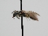  ( - OSAC_0001278140)  @11 [ ] CreativeCommons  Attribution (by) (2022) Pollinator Health Lab Oregon State University