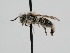  ( - OSAC_0001278141)  @11 [ ] CreativeCommons  Attribution (by) (2022) Pollinator Health Lab Oregon State University