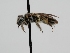  ( - OSAC_0001278142)  @11 [ ] CreativeCommons  Attribution (by) (2022) Pollinator Health Lab Oregon State University