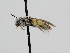  ( - OSAC_0001278218)  @11 [ ] CreativeCommons  Attribution (by) (2022) Pollinator Health Lab Oregon State University