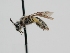  ( - OSAC_0001278211)  @11 [ ] CreativeCommons  Attribution (by) (2022) Pollinator Health Lab Oregon State University