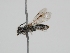  ( - OSAC_0001278465)  @11 [ ] CreativeCommons  Attribution (by) (2022) Pollinator Health Lab Oregon State University