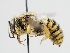  ( - OSAC_0001224717)  @11 [ ] CreativeCommons  Attribution (by) (2023) Pollinator Health Lab Oregon State University