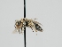  ( - OSAC_0001278674)  @11 [ ] CreativeCommons  Attribution (by) (2023) Pollinator Health Lab Oregon State University