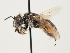  ( - ORBIT_0013)  @11 [ ] nrr (2023) Unspecified Thomas Wood