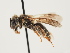  ( - ORBIT_0025)  @11 [ ] nrr (2023) Unspecified Thomas Wood